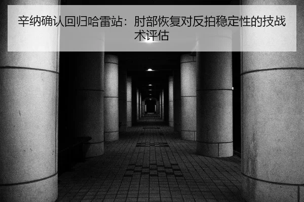 辛纳确认回归哈雷站：肘部恢复对反拍稳定性的技战术评估
